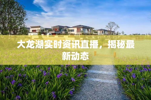 大龙湖实时资讯直播,揭秘最新动态