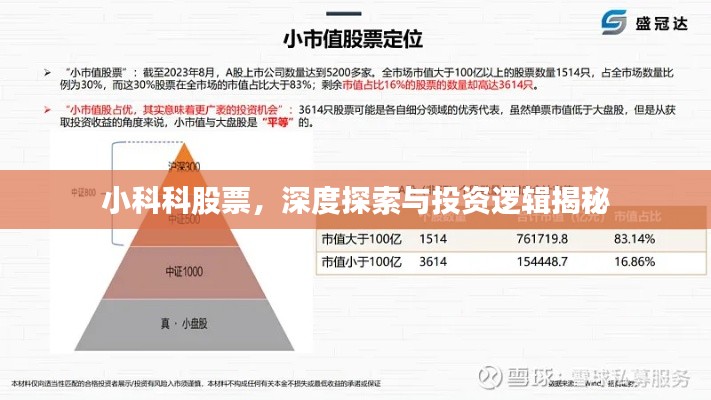 小科科股票,深度探索与投资逻辑揭秘