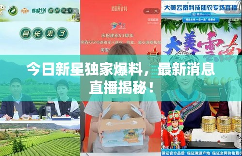 今日新星独家爆料，最新消息直播揭秘！