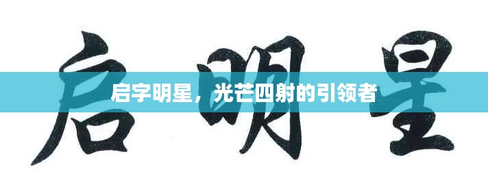 启字明星，光芒四射的引领者