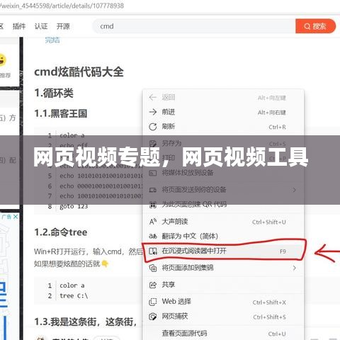网页视频专题，网页视频工具 