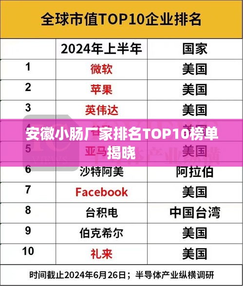 安徽小肠厂家排名TOP10榜单揭晓