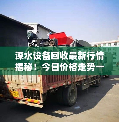 母凭子贵 第3页