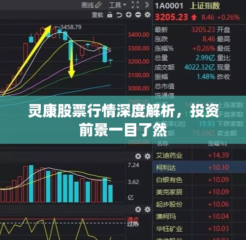 落土飞岩 第3页