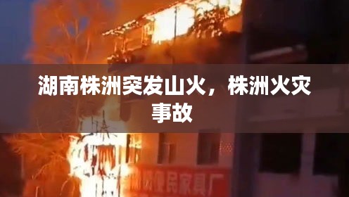 湖南株洲突发山火，株洲火灾事故 