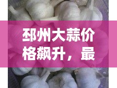 邳州大蒜价格飙升，最新行情揭秘！