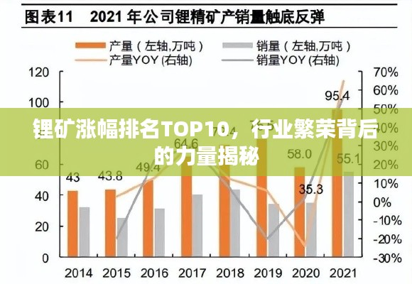 锂矿涨幅排名TOP10，行业繁荣背后的力量揭秘