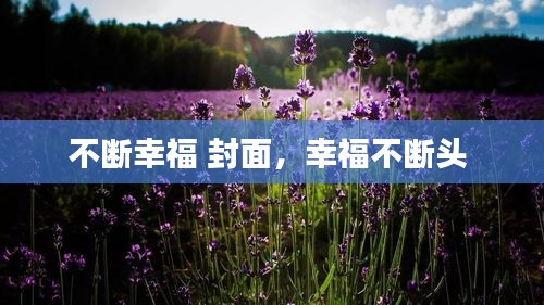 不断幸福 封面，幸福不断头 