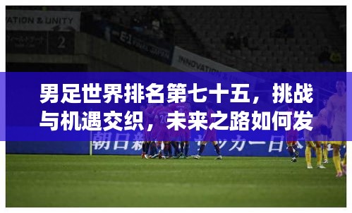 男足世界排名第七十五,挑战与机遇交织,未来之路如何发展?