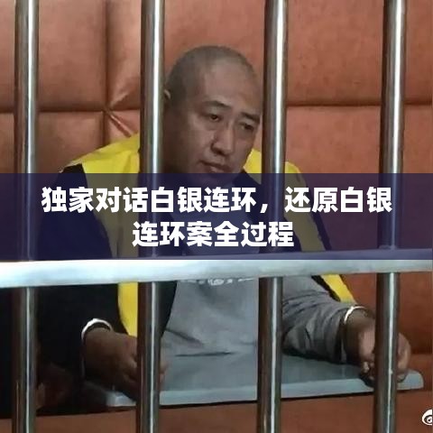 独家对话白银连环，还原白银连环案全过程 