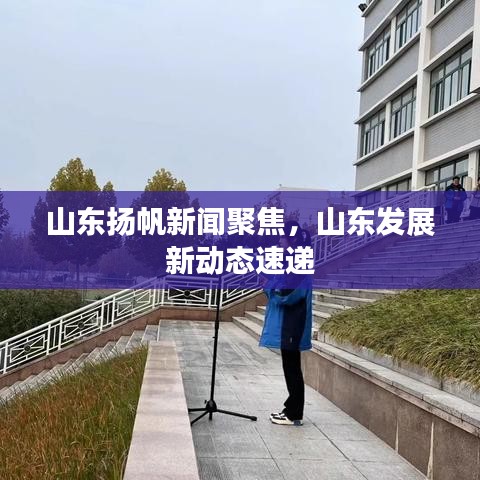 山东扬帆新闻聚焦，山东发展新动态速递