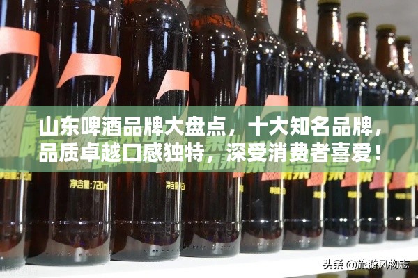 山东啤酒品牌大盘点,十大知名品牌,品质卓越口感独特,深受消费者喜爱!