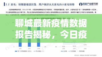聊城最新疫情数据报告揭秘,今日疫情形势分析
