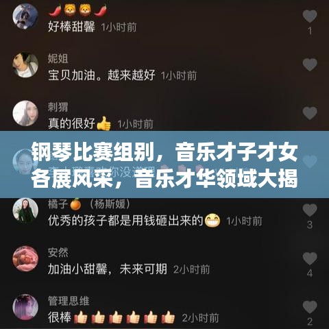 钢琴比赛组别,音乐才子才女各展风采,音乐才华领域大揭秘!