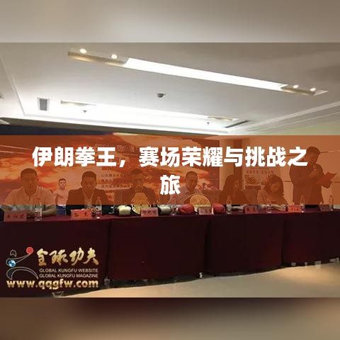 伊朗拳王，赛场荣耀与挑战之旅