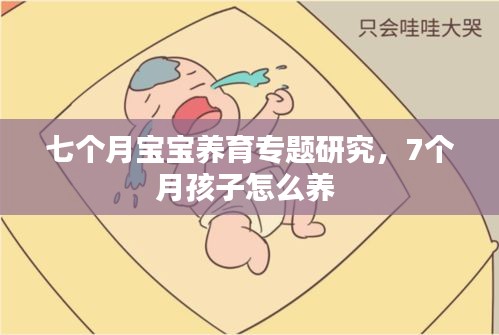 七个月宝宝养育专题研究，7个月孩子怎么养 