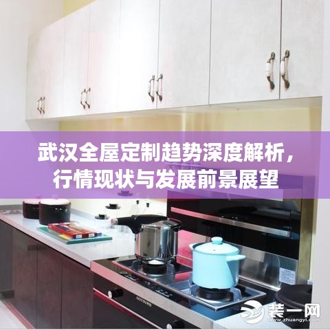 武汉全屋定制趋势深度解析,行情现状与发展前景展望