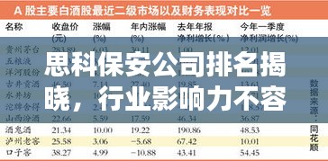 思科保安公司排名揭晓,行业影响力不容小觑