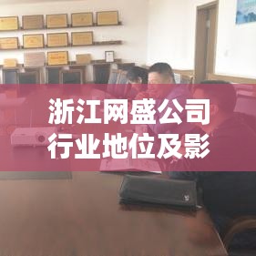 浙江网盛公司行业地位及影响力不容小觑，揭秘其排名与实力