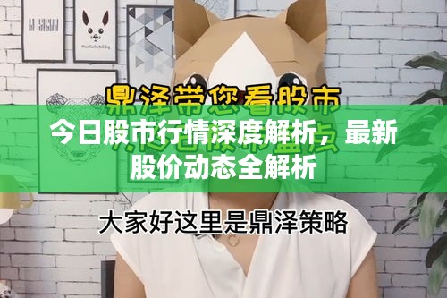 今日股市行情深度解析,最新股价动态全解析