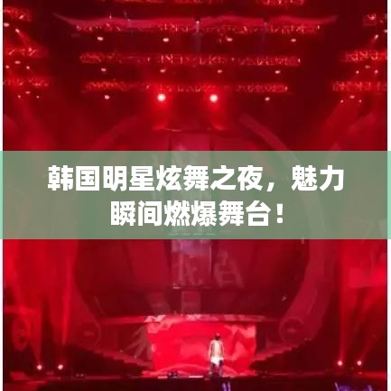 韩国明星炫舞之夜，魅力瞬间燃爆舞台！