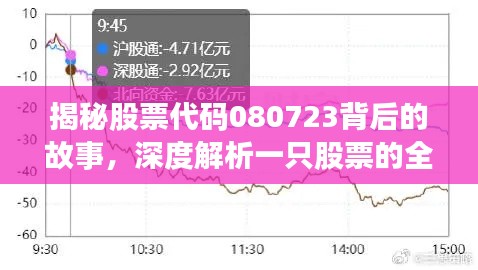 揭秘股票代码080723背后的故事，深度解析一只股票的全面信息
