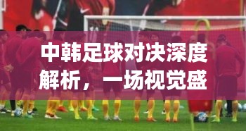 中韩足球对决深度解析,一场视觉盛宴的观后感