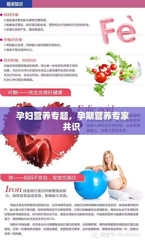孕妇营养专题，孕期营养专家共识 