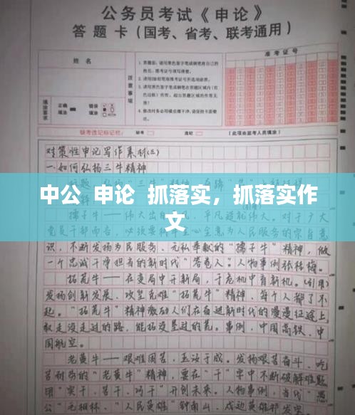 中公  申论  抓落实，抓落实作文 