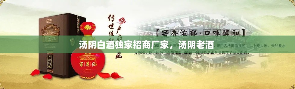 汤阴白酒独家招商厂家,汤阴老酒