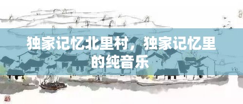 独家记忆北里村,独家记忆里的纯音乐