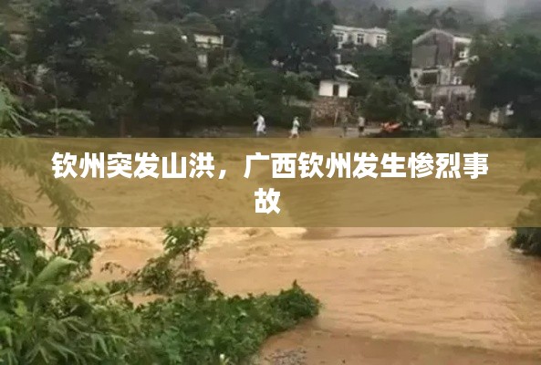 钦州突发山洪，广西钦州发生惨烈事故 