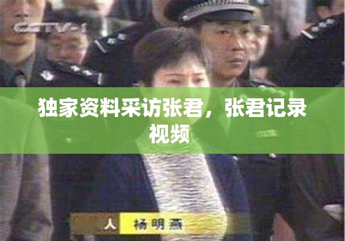 声如洪钟 第2页