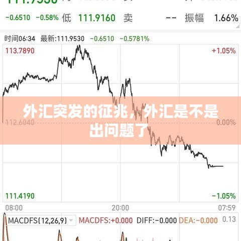 外汇突发的征兆，外汇是不是出问题了 