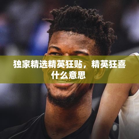 独家精选精英狂贴，精英狂喜什么意思 