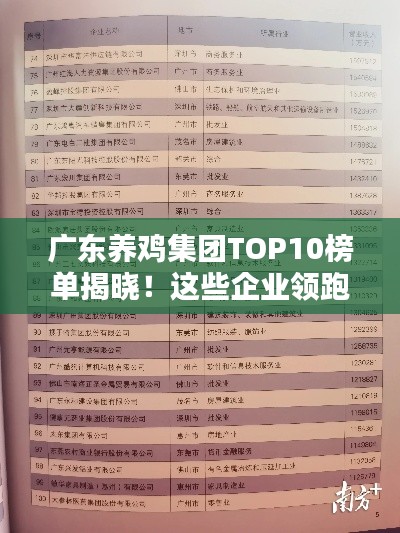 广东养鸡集团TOP10榜单揭晓！这些企业领跑行业排名