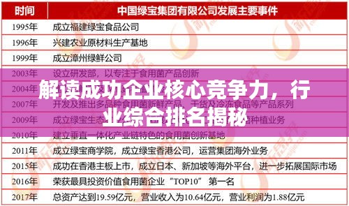 解读成功企业核心竞争力,行业综合排名揭秘