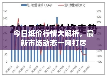 今日纸价行情大解析，最新市场动态一网打尽